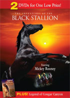 Adventures Of The Black Stallion / Legend Of Cougar Canyon
