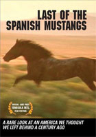 Last Of The Spanish Mustangs