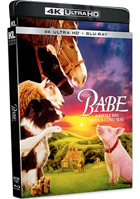 クリックで拡大