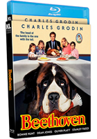 クリックで拡大