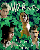 Wild Reeds (Les Roseaux sauvages) (Blu-ray)