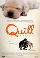 Quill: The Life Of A Guide Dog