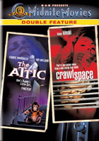 Attic / Crawlspace