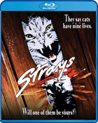 Strays (1991)(Blu-ray)