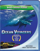 Ocean Voyagers (Blu-ray)