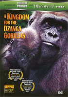 Kingdom For The Dzanga Gorillas