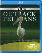 Nature: Outback Pelicans (Blu-ray)