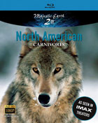 IMAX: North American Carnivores (Blu-ray)