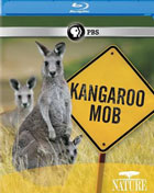 Nature: Kangaroo Mob (Blu-ray)