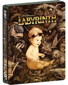 輸入盤DVDオンラインショップ：DVD Fantasium : Labyrinth
