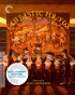 Fantastic Mr. Fox: Criterion Collection (Blu-ray/DVD)