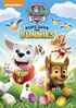 PAW Patrol: Spring Into Action