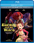 Earwig And The Witch (Blu-ray/DVD)