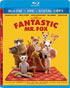 Fantastic Mr. Fox (Blu-ray/DVD)