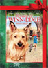 Because Of Winn-Dixie: Special Edition (w/Holiday O-Ring Packaging)