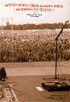 270 Miles From Graceland: Live From Bonnaroo 2003