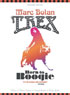 T-Rex: Born To Boogie (DTS)