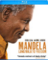 Mandela: Long Walk To Freedom (Blu-ray)