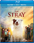 Stray (Blu-ray/DVD)