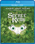 Secret Of Kells (Blu-ray/DVD)