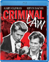 Criminal Law (Blu-ray)