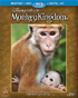 Disneynature: Monkey Kingdom (Blu-ray/DVD)