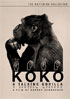 Koko: A Talking Gorilla: Criterion Collection