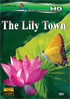 Lily Town