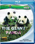 Giant Panda (Blu-ray)