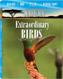 Nature: Extraordinary Birds (Blu-ray/DVD)