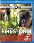 Nature: Survivors Of The Firestorm (Blu-ray)