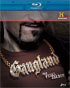 Gangland: The Final Season (Blu-ray)
